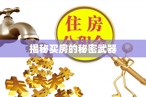 高淳揭秘买房的秘密武器
