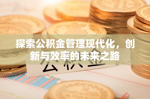 高淳探索公积金管理现代化，创新与效率的未来之路