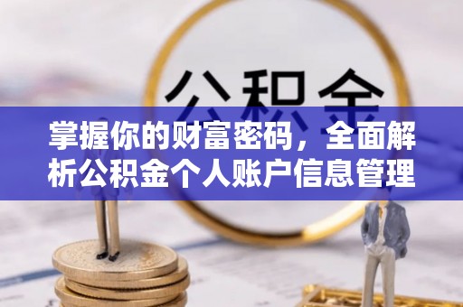 高淳掌握你的财富密码，全面解析公积金个人账户信息管理与优化