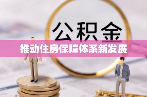 高淳推动住房保障体系新发展
