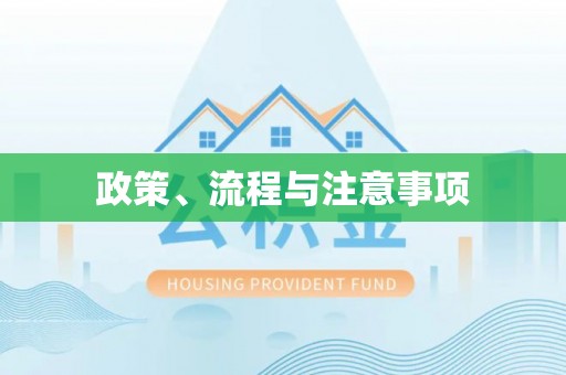 高淳政策、流程与注意事项