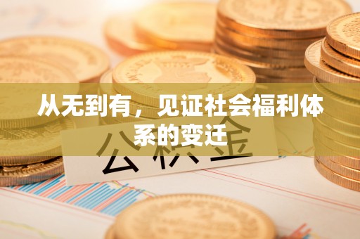 高淳从无到有，见证社会福利体系的变迁