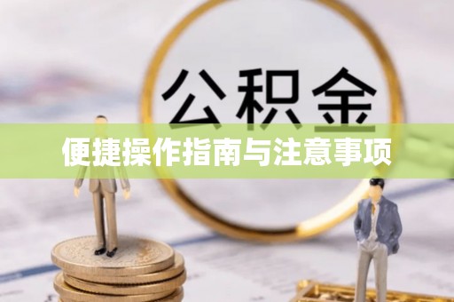 高淳便捷操作指南与注意事项